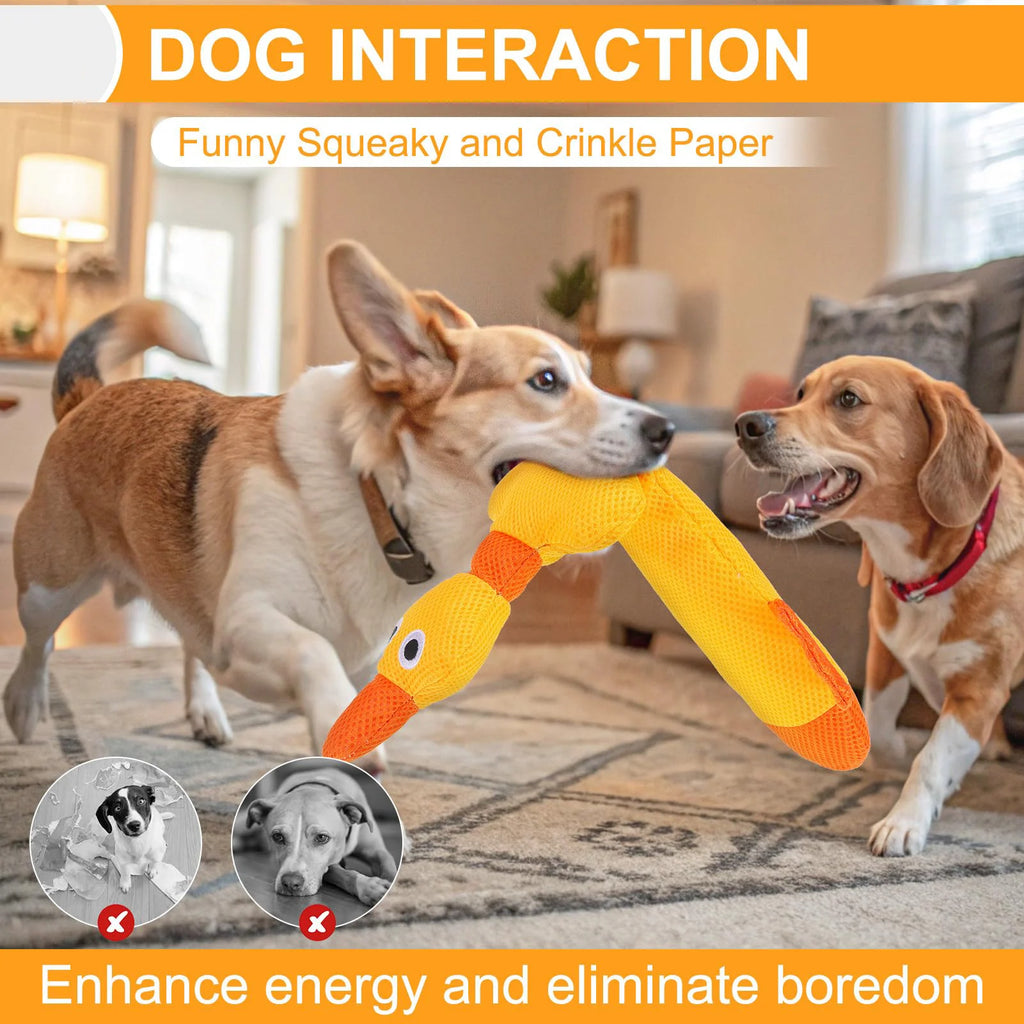 Floating Dog Water Pool Toys 2 Packs - Suitable for Medium/Large-Sized Dogs, Zizi Duck-Designed Pool Toys, Summer Dog Toys
