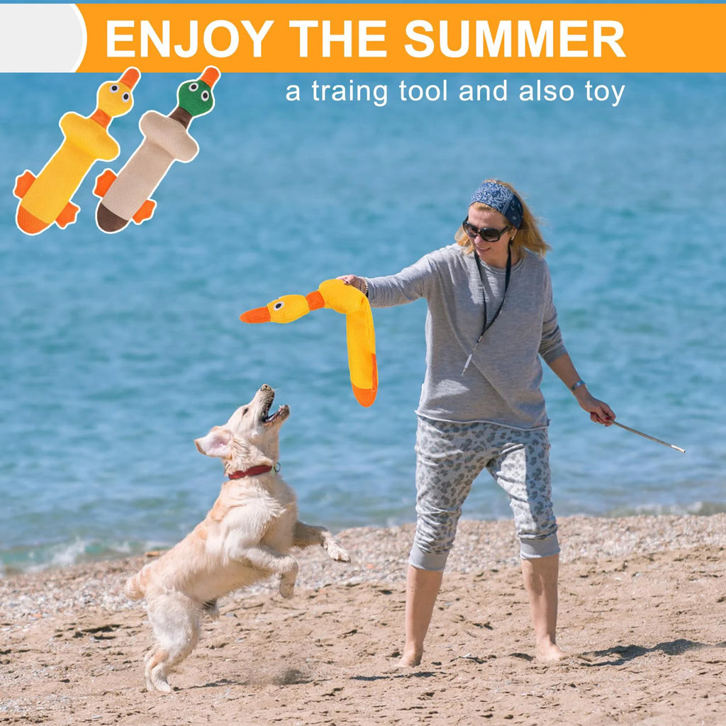 Floating Dog Water Pool Toys 2 Packs - Suitable for Medium/Large-Sized Dogs, Zizi Duck-Designed Pool Toys, Summer Dog Toys